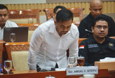 Alarm Bahaya dari Kasus Amsal Sitepu bagi Industri Kreatif saat Kreativitas dihargai Nol