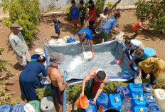 Antisipasi Kekeringan Panjang Dampak El Nino Godzilla, BPBD Aktifkan Satgas Air hingga Water Mist