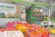 Sejumlah Buah Impor Langka di Kota Bengkulu, Harga Pear Naik Dua Kali Lipat