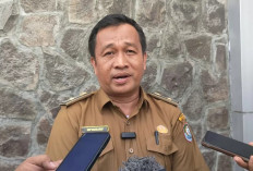 Dinkes Kaur Gandeng Ormas untuk Konsultansi Pembangunan RS Pratama