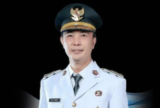 Publik Soroti Profil Muhammad Fikri Thobari, Bupati Rejang Lebong Diterpa Isu OTT KPK di Bengkulu