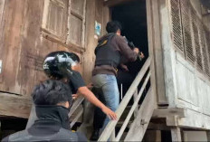 Rencana Operasi Sarang Narkoba di Padang Guci Hulu Diduga Bocor, TO Polres Kaur Kabur Duluan