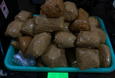 Curiga Gerak-gerik Pengendara saat Razia, Polisi Temukan Ganja 1 Kilogram di Dalam Tas Selempang