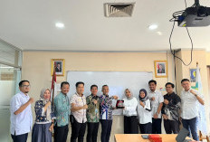 Wabup Abdul Hamid Usulkan Sejumlah Program Prioritas Kesehatan Kaur ke Kemenkes