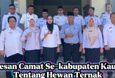 Pesan menanam Tanpa Memagar dari Camat Sekabupaten Kaur