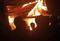 Kebakaran Hanguskan Rumah Warga di Desa Tanjung Beringin, Kerugian Capai Rp125 Juta