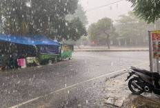 Masyarakat Diimbau Pantau Cuaca Provinsi Bengkulu, Potensi Hujan, Suhu 24°C