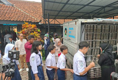 Nasib MBG Siswa: Anak SMA Dijatah Rp10 Ribu, Balita dan Siswa SD Kelas Bawah Cuma Rp8.000!