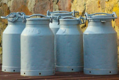 DME Digadang jadi Pengganti LPG, Namun Proyek Belum Jalan, Ini Alasan ESDM!