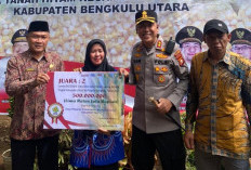 Sukses Bawa Desa Pelajaran II Raih Juara II Lomba Sadesahe, Kanit Binmas Polsek Tanjung Kemuning Ditarik Ke Po