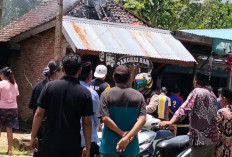 Kosong Ditinggal Pergi, Rumah Warga Tanjung Bunian Hangus Dilalap Api