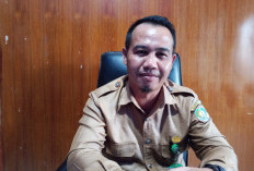 87 CPNS Formasi 2024 Kaur Siap Diangkat Menjadi PNS Penuh