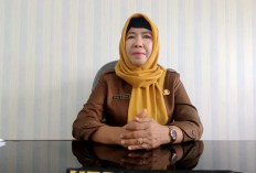 Kembangkan Wisata Kabupaten Kaur, Dinas Pariwisata Kunjungi Dispar Pesisir Barat