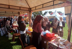 Bikin NIB Cepat dan Mudah, Pelaku UMKM Disarankan Segera Buat
