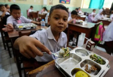 Dana MBG di Provinsi Bengkulu Tersalurkan Rp291,91 Miliar untuk 330.000 siswa