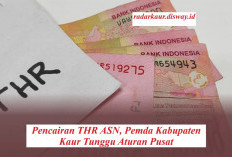 Pencairan THR ASN, Pemda Kabupaten Kaur Tunggu Aturan Pusat 