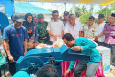Pembagian Bantuan Pemanfaatan Reward SADESAHE di Desa Pelajaran 2, Launching Produksi Pakan Ternak 