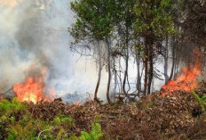 Masyarakat Diimbau Tidak Buang Puntung Rokok dan Bakar Sampah Sembarangan