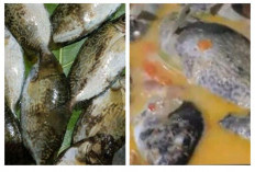 7 Gulai Khas Kabupaten Kaur Tinggi Protein, Cocok Buat Menu Sahur dan Buka Puasa!