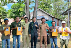 Pemda Kabupaten Kaur Targetkan Permasalahan Ternak 2026 Tuntas