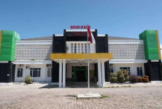 Hasil Pemeriksaan BPK RI, Pengadaan Alkes Senilai Rp502 juta Lebih Tahun 2024 Diduga Fiktif