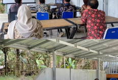 Sebelum Turun, Petugas Survei Komoditas Strategis Perkebunan Dilatih BPS Kaur