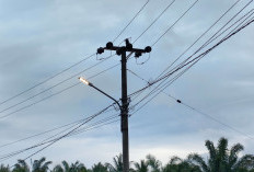 Pemda Kabupaten Kaur Kucurkan Rp321 Juta untuk Tagihan Listrik PJU 2026