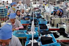Serapan Tenaga Kerja Naik 522 Ribu, BPS: Tingkat Pengangguran Berkurang