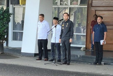 Ikuti Kebijakan Pusat, Pemkab Kaur Akan WFA tiap Jumat