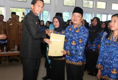 Selain Gaji Pokok, Berikut Ini Rincian Tunjangan bagi PPPK