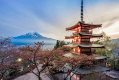 OMG! China Menghentikan 49 Penerbangan ke Jepang untuk Februari 2026