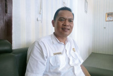 Anda Generasi Muda Kabupaten Kaur? Ayo Ikutan Pemilihan Duta Wisata 