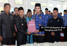 84 CPNS Kaur Resmi Diangkat Jadi PNS Usai Jalani Masa Percobaan, 1 Ditunda