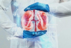 Kenali Gejala Awal Kanker Ginjal pada Usia Muda, Jangan Abaikan Ini