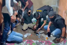 Identitas 5 Warga yang Ditangkap Terkait Dugaan Tindak Pidana Narkoba, Polres Kaur Lakukan Pengembangan